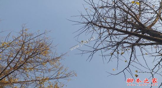 三星C9 Pro怎么样?三星C9 Pro外观/配置/性能/续航及拍照详细评测图解