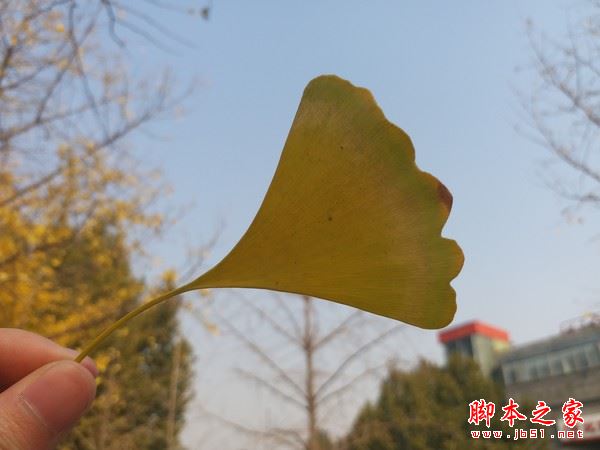 三星C9 Pro怎么样?三星C9 Pro外观/配置/性能/续航及拍照详细评测图解