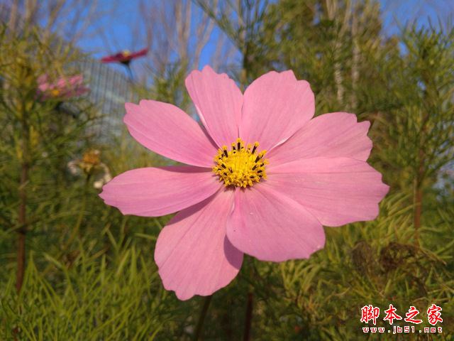 红米4A值不值得买吗?红米4A手机外观/性能/拍照全面评测图解