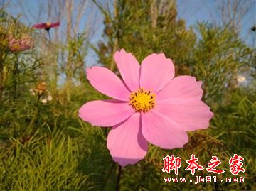 红米4和红米4a哪个更值得买?红米4a和红米4全面区别对比详细评测图解
