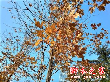 红米4和红米4a哪个更值得买?红米4a和红米4全面区别对比详细评测图解