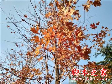 红米4和红米4a哪个更值得买?红米4a和红米4全面区别对比详细评测图解