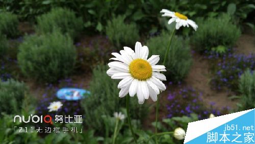 OIS防抖加持体验升级_努比亚Z11第8张图