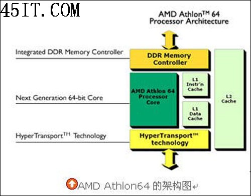 正反有理:AMD技术上领先英特尔五年?(3)
