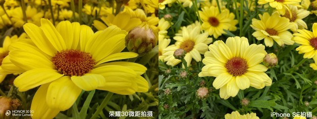 承受了3K价位不该拥有的实力 荣耀30全面评测 