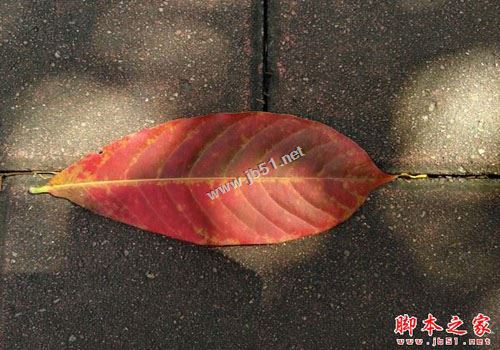 华为nova怎么样值得买吗?华为nova手机全面详细评测图解