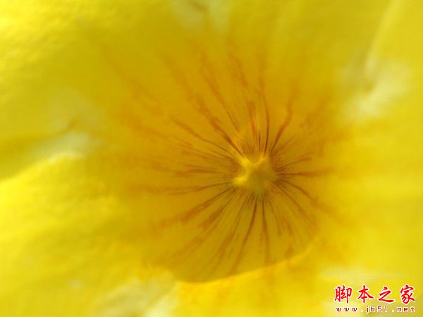 华为nova怎么样值得买吗?华为nova手机全面详细评测图解