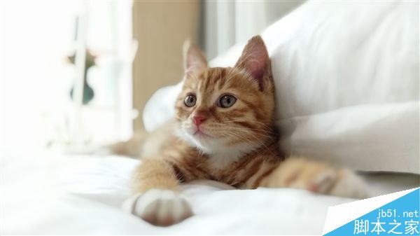 红米Pro拍照样张首曝!双摄像头效果惊艳