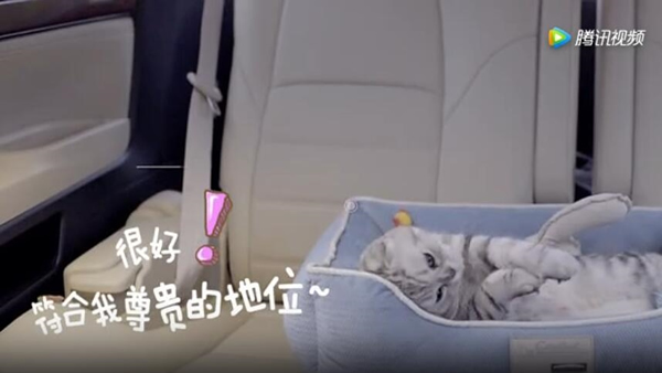 菜鸟裹裹萌急送是什么 菜鸟裹裹萌急送怎么玩