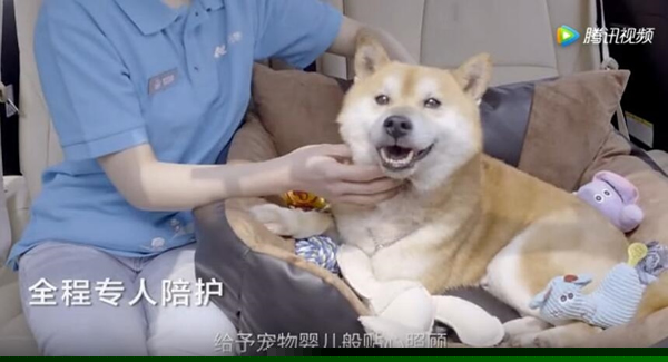 菜鸟裹裹萌急送是什么 菜鸟裹裹萌急送怎么玩