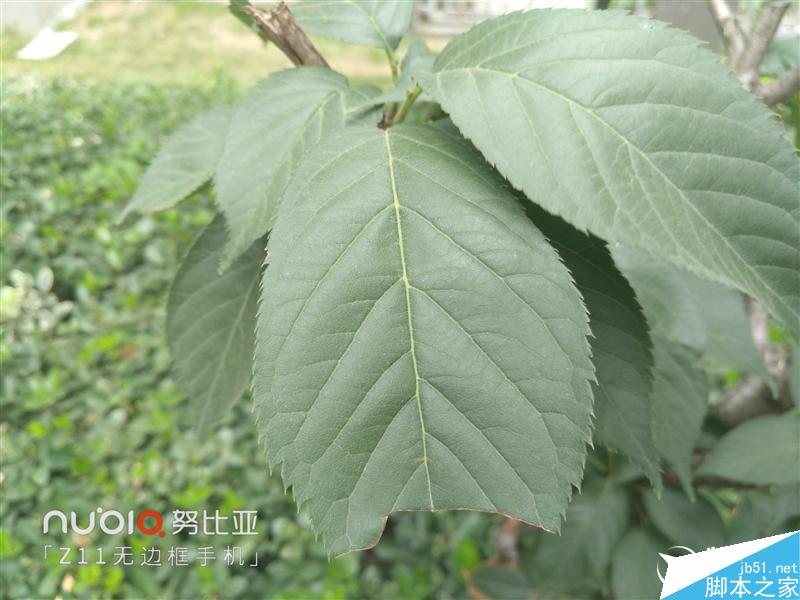 无边框美如画!nubia Z11旗舰深度评测