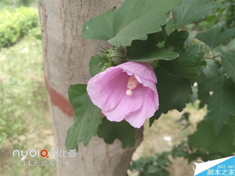 无边框美如画!nubia Z11旗舰深度评测