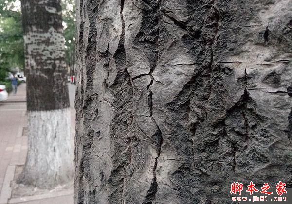 中兴Blade A2和A1拍照哪个好 样张对比