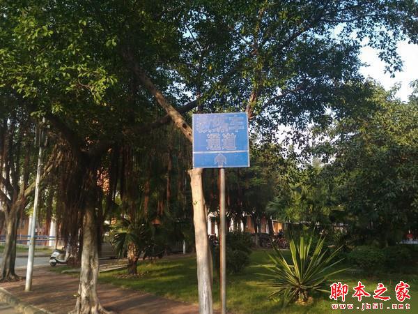 中兴Blade A2和A1拍照哪个好 样张对比