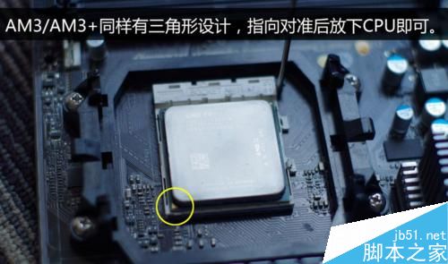 如何安装AMD CPU和散热器?