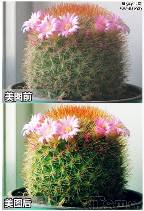 美图秀秀新手入门：炫酷特效一键搞定!