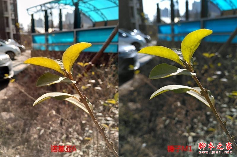 诺基亚6和锤子M1哪个值得买?锤子M1与诺基亚6全面深度区别对比评测图解