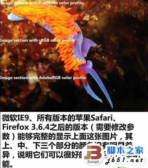 优秀的“学生”在任何测试中都能取得好成绩