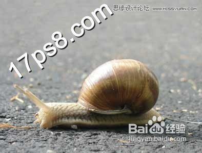 Photoshop设计可爱风格的蜗牛城堡教程