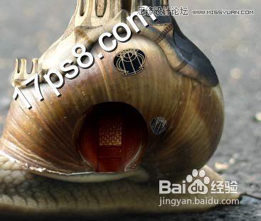 Photoshop设计可爱风格的蜗牛城堡教程