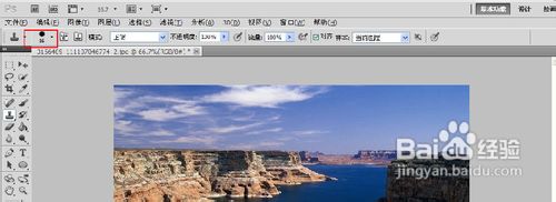 怎么用photoshop仿制图章工具修改图片？