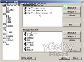 GreenBrowser浏览器选择性地删除网站记录