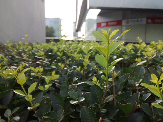 360奇酷手机青春版评测:信息安全我放心(待审核)