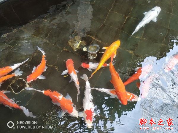 努比亚Z17S值不值得买?努比亚Z17S全面屏手机上手评测图解