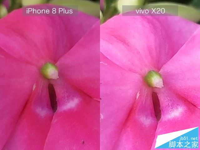 vivo X20和iPhone8 Plus哪个值得买?苹果8 plus与vivo X20全面深度评测图解