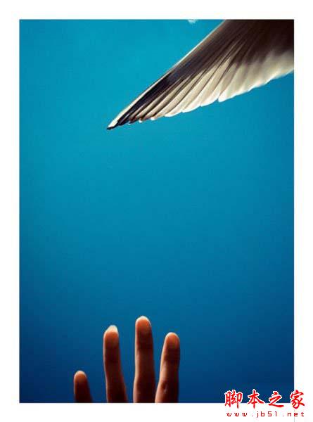 iPhone如何拍出漂亮唯美的照片?