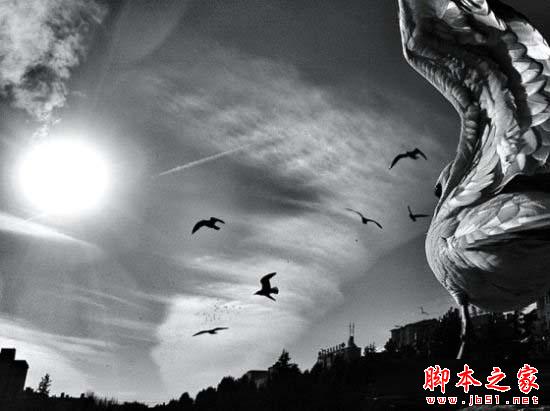 iPhone如何拍出漂亮唯美的照片?