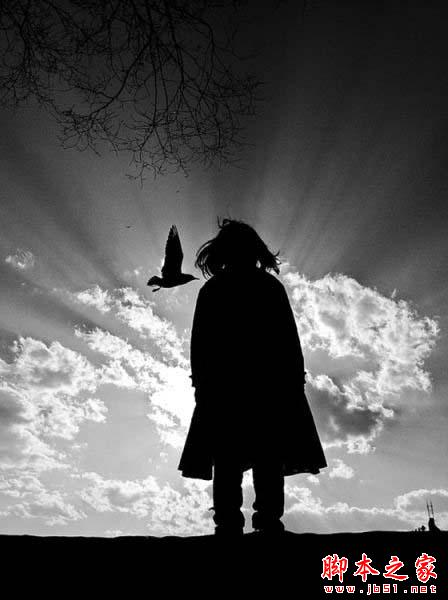 iPhone如何拍出漂亮唯美的照片?