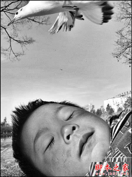 iPhone如何拍出漂亮唯美的照片?