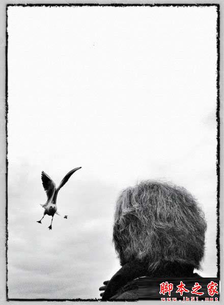 iPhone如何拍出漂亮唯美的照片?