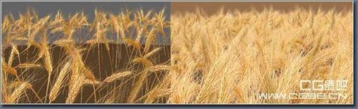 3ds MAX教程:唐吉珂德角色创建