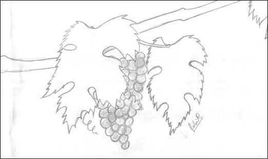 3ds Max教程:制作饱满多汁葡萄_脚本之家jb51.net整理