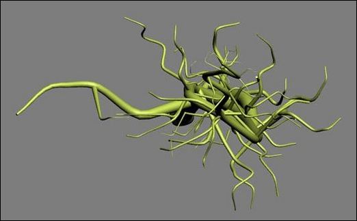 3ds Max教程:制作饱满多汁葡萄_脚本之家jb51.net整理