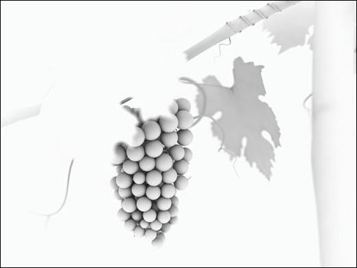 3ds Max教程:制作饱满多汁葡萄_脚本之家jb51.net整理