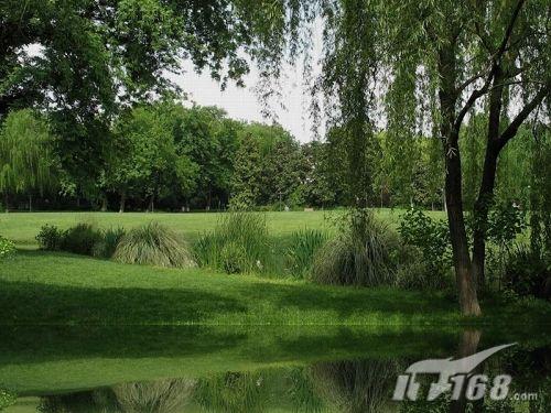 巧用3ds Max快速制作池塘倒影效果_脚本之家jb51.net整理