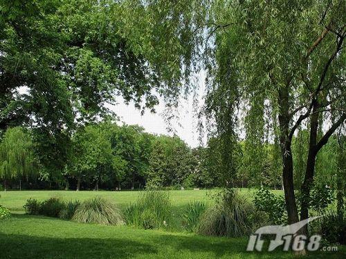 巧用3ds Max快速制作池塘倒影效果_脚本之家jb51.net整理