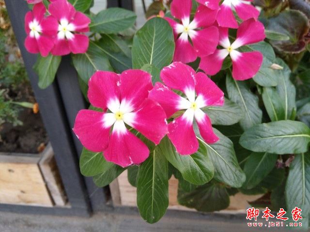 海信A2 Pro怎么样?海信双屏A2 Pro配置/性能/系统/外观评测图解