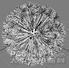 3ds MAX实例教程：制作蒲公英