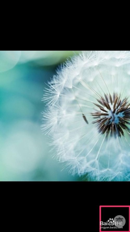 iPhone如何修改QQ群头像