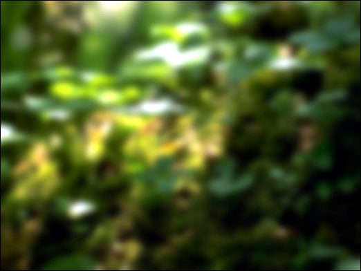 3ds Max材质初级教程：鲜翠欲滴树叶表现