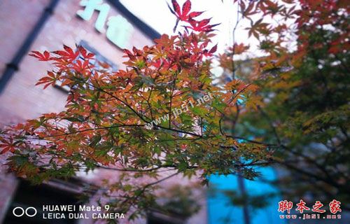 华为Mate9保时捷版值得买吗?华为Mate9保时捷版全面深度评测图解