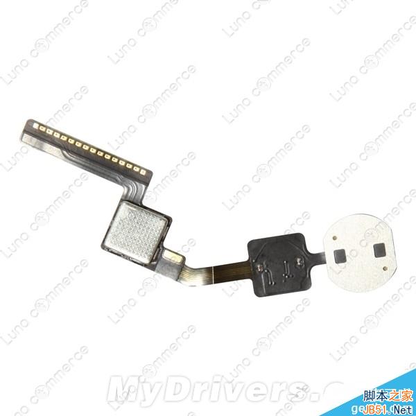 iPhone 6/iPhone Air曝光：设计不一样