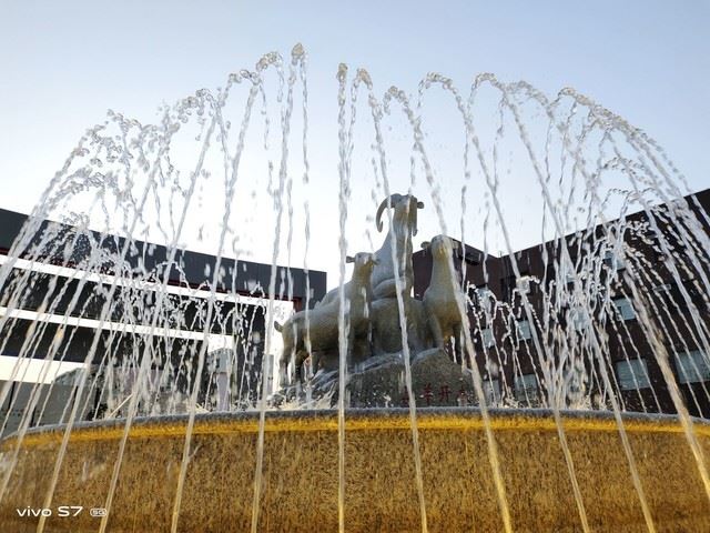 自拍旗舰后置疲软？vivo S7影像系统评测 