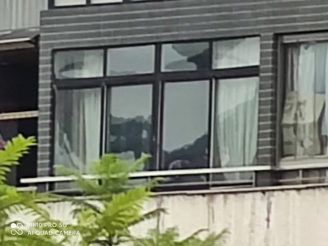 小米10至尊纪念版、小米10 Pro对比评测:大杯也有逆袭点?