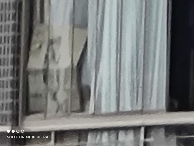 小米10至尊纪念版、小米10 Pro对比评测:大杯也有逆袭点?
