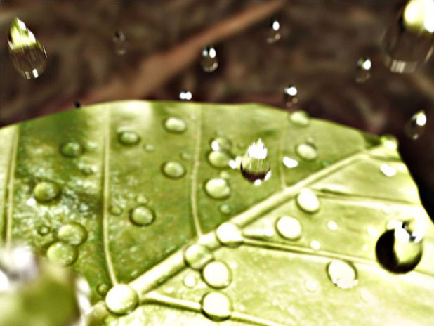 3ds max制作“水滴” 脚本之家 3dmax入门教程